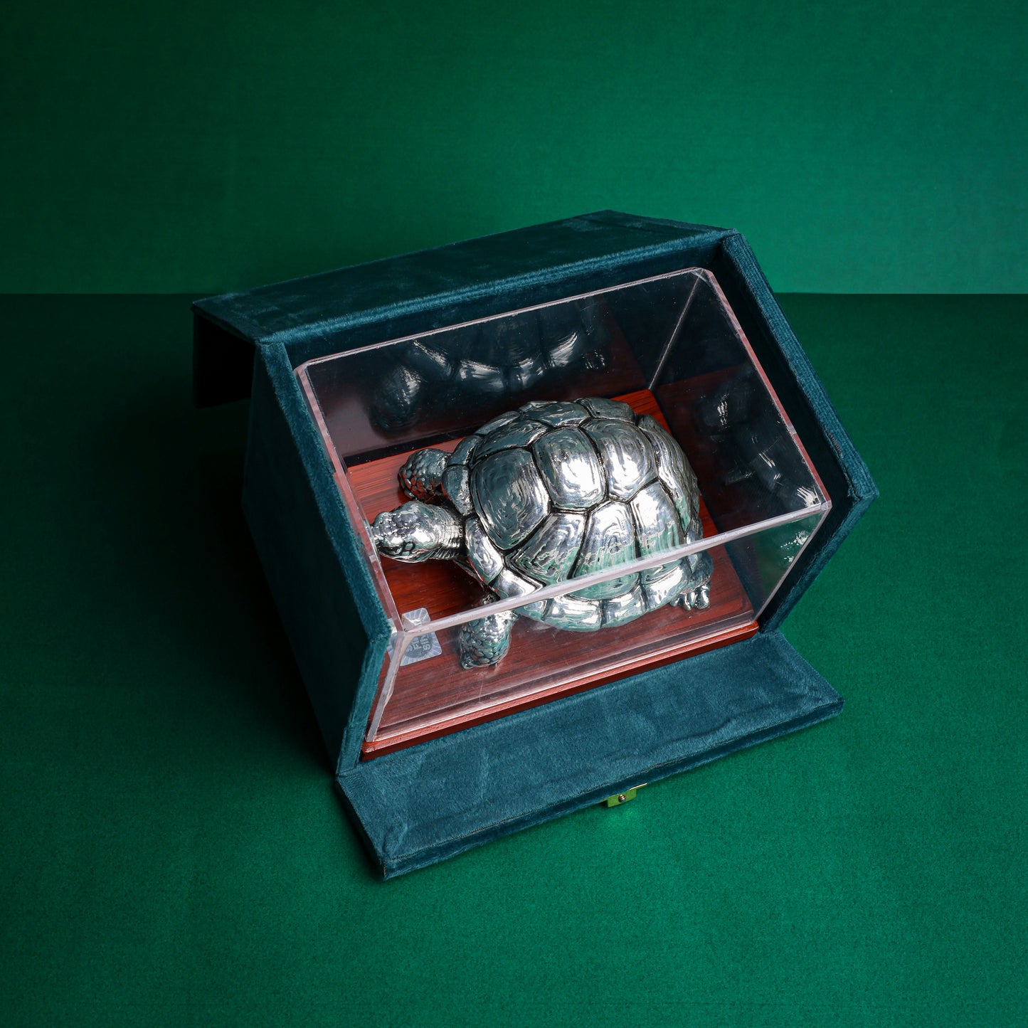 Vaastu Tortoise with Display Case