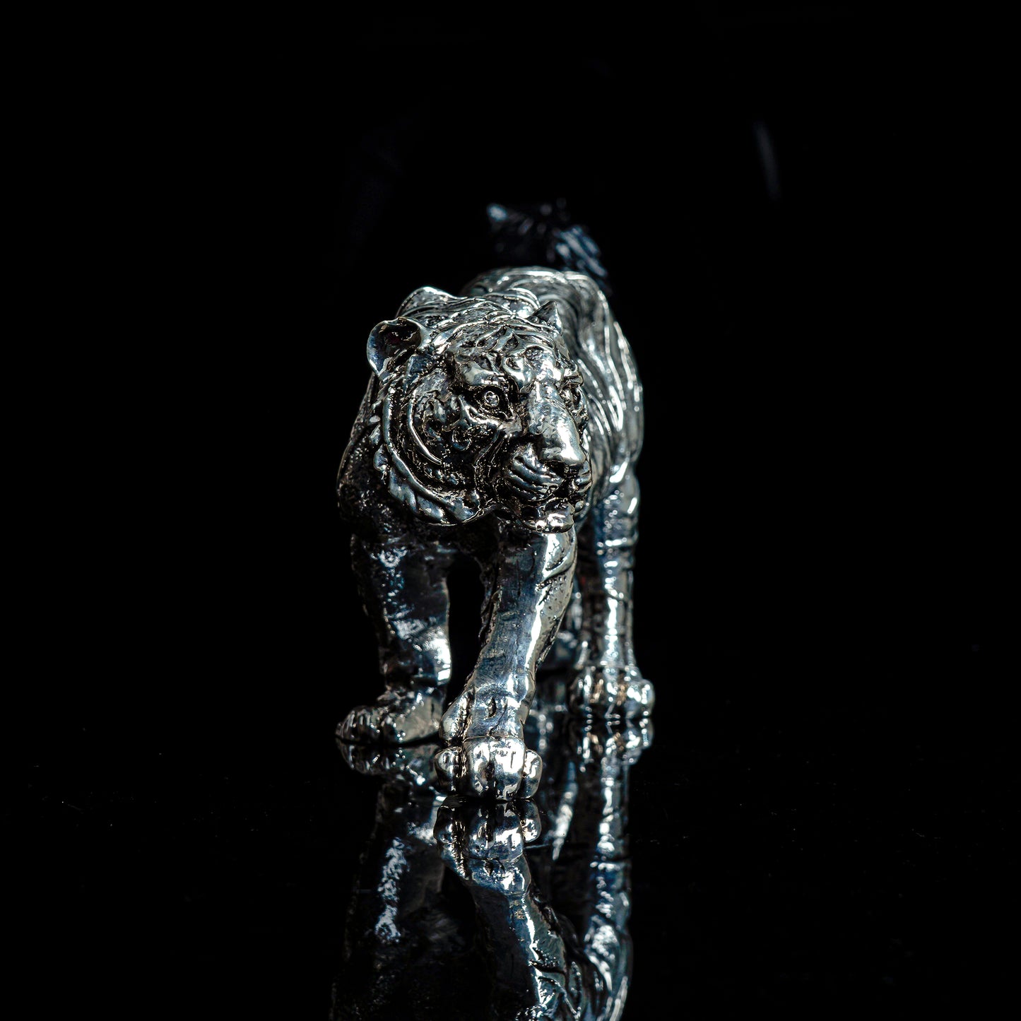 SHAKTI TIGER