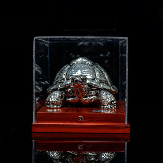 Sththir Kachua - Treza