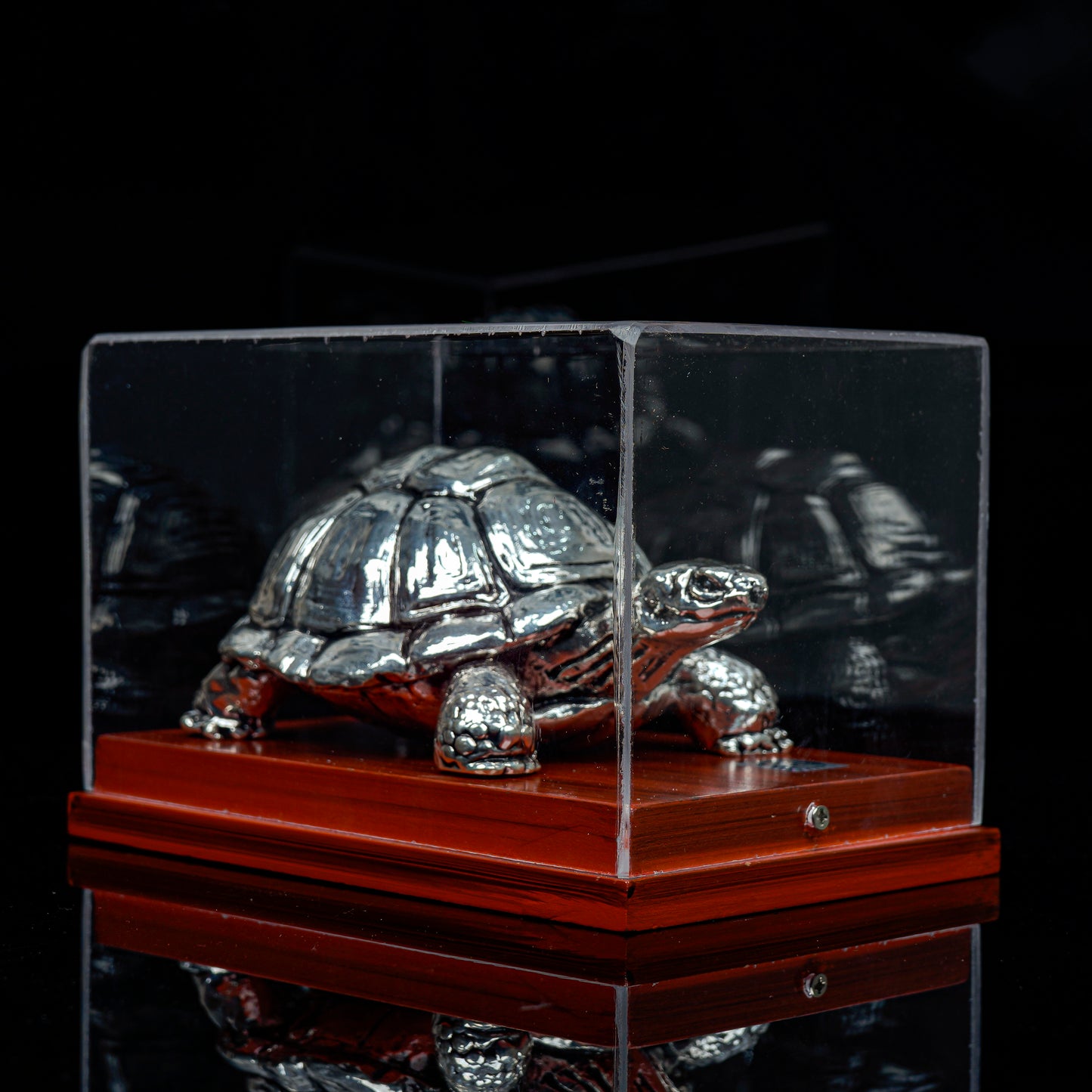 Vaastu Tortoise with Display Case