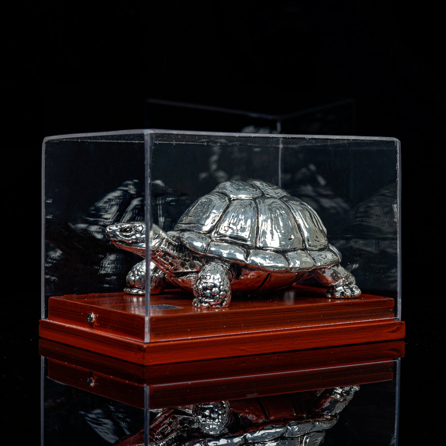 Vaastu Tortoise with Display Case