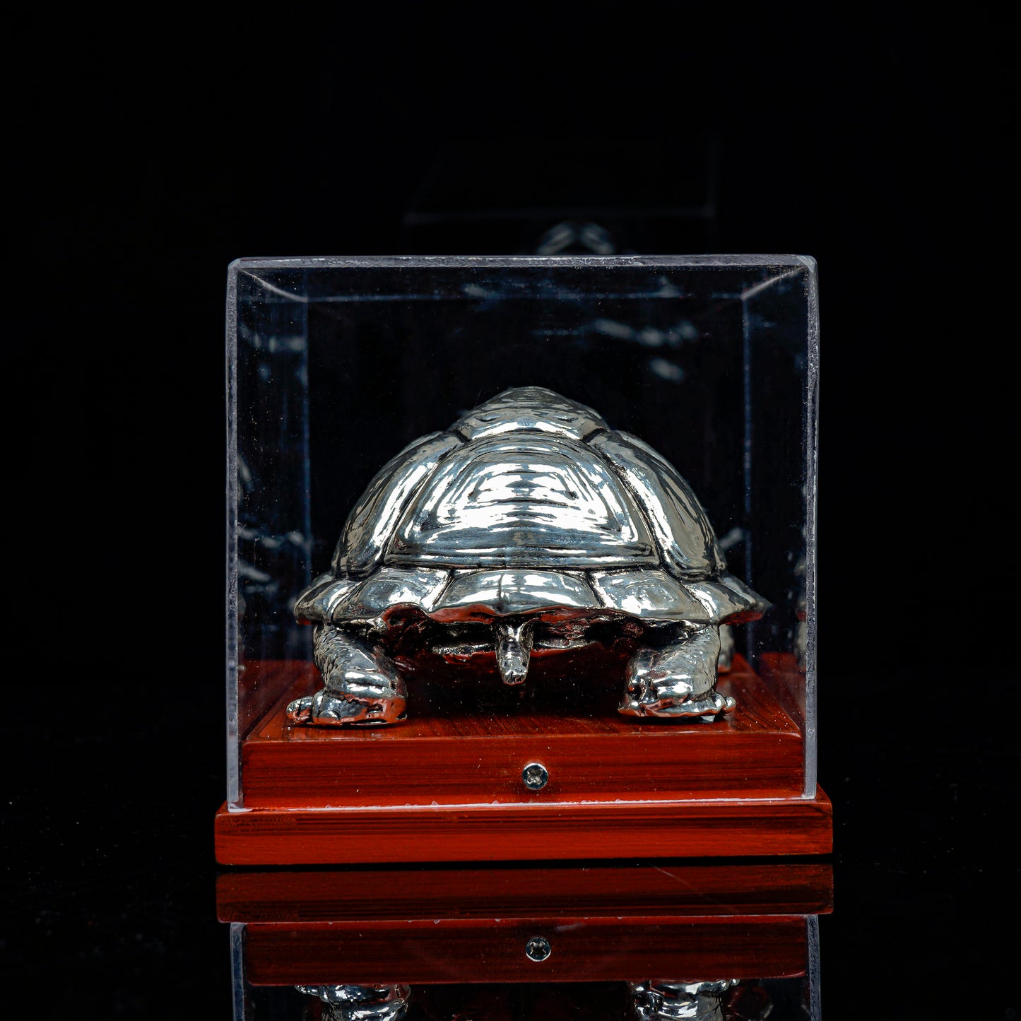 Vaastu Tortoise with Display Case