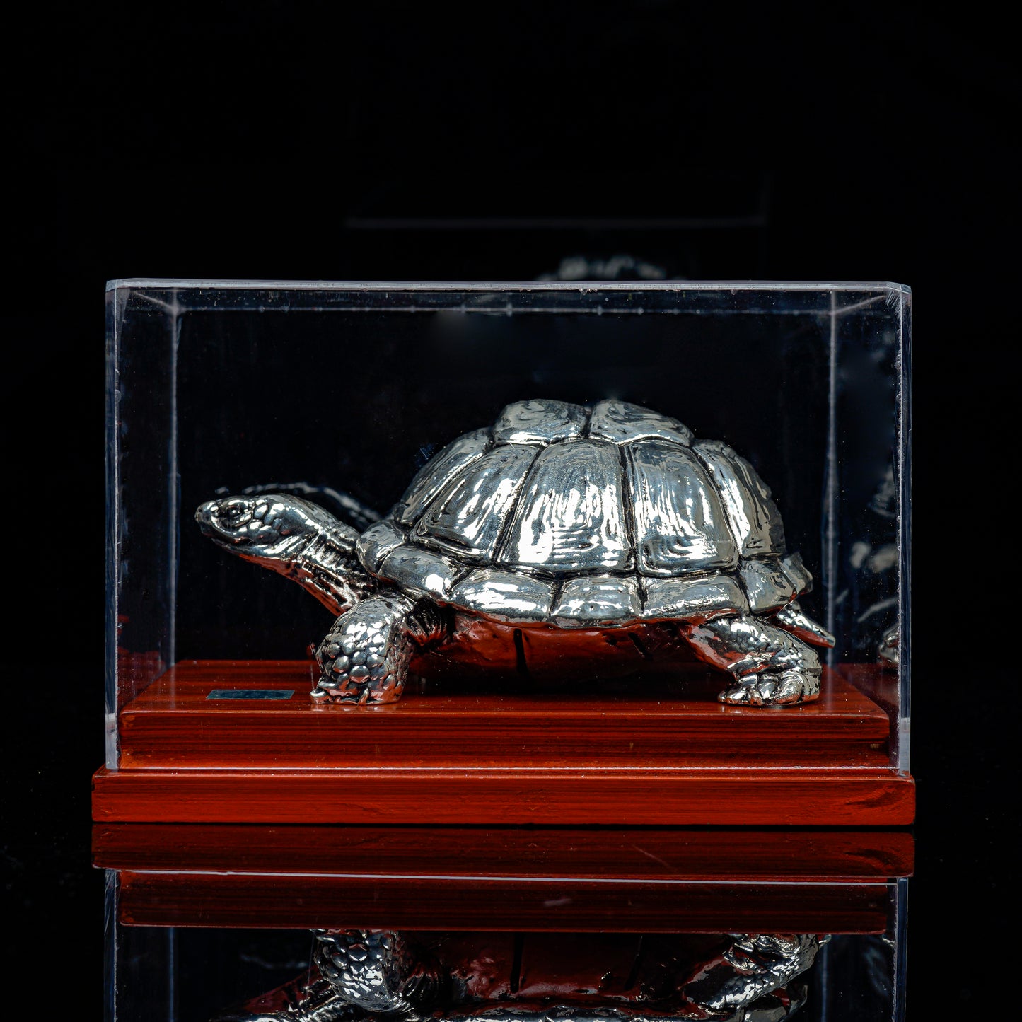 Vaastu Tortoise with Display Case