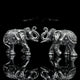 HATHI JODA