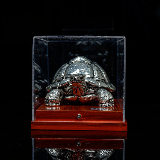 Vaastu Tortoise with Display Case