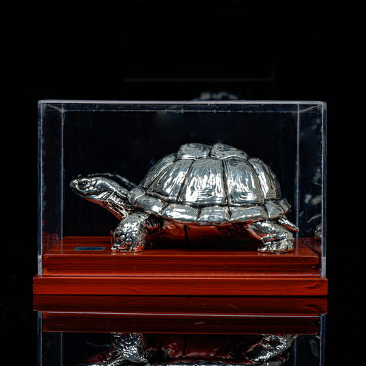Vaastu Tortoise with Display Case
