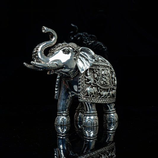 Royal Trunk